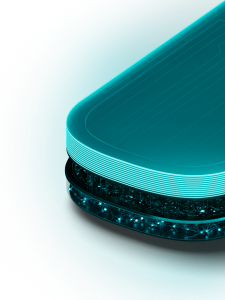 ESET Progress.Protected.
